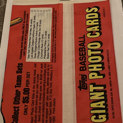 1981 TOPPS BASEBALL  GIANT PHOTO CARDS HOME TEAM SERIES